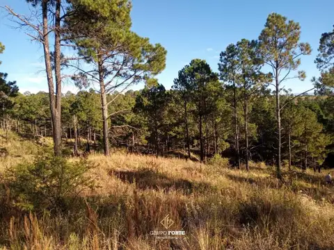 Terreno en Venta en Loteo, USD 75.000