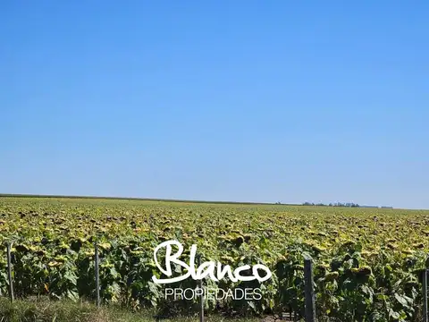 Terreno Campo  en Venta en Necochea, Costa Atlántica, Buenos Aires