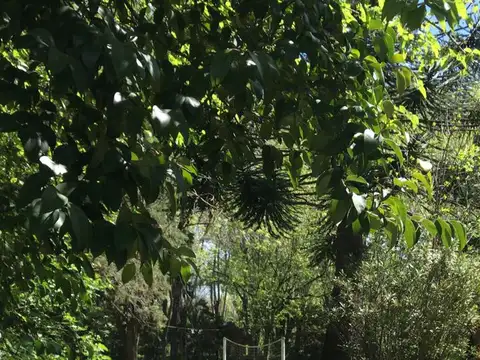 Quinta - ALQUILER_TEMPORAL - Argentina, Ezeiza - GORRITI 236