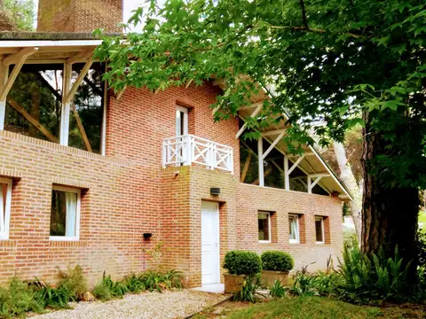 Rey Del Bosque y Araucaria