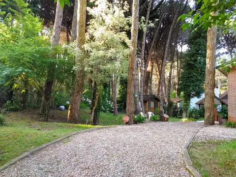 Impecable casa en Carilo con excelente parque