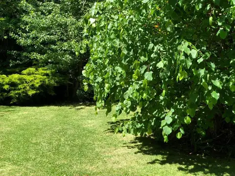 Casa en Alquiler Temporal 18 años