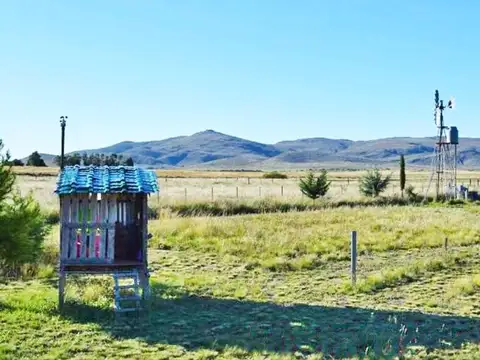 Campo en Venta Ganadero