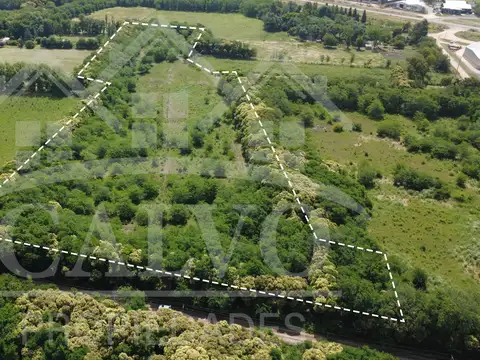 Fracción 4ha. Proximidad Ruta 5. Mercedes, Buenos Aires.