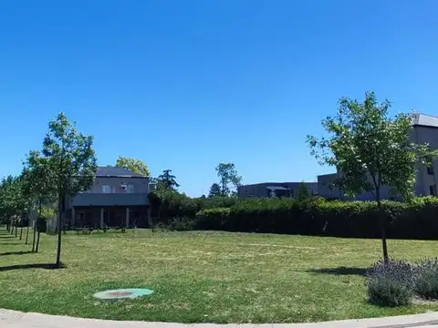 Terreno en Venta 33  mts Frente