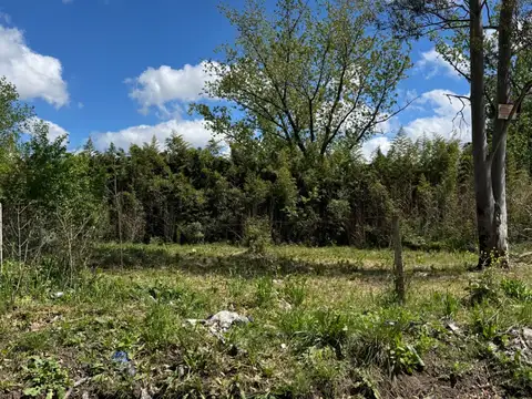 Terreno en Venta 21  mts Fondo