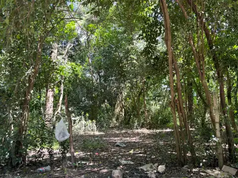 Terreno en Venta 35  mts Frente