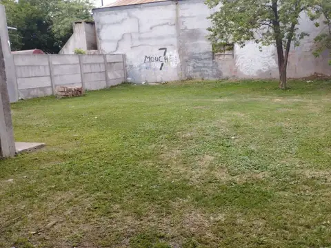 Avellaneda 800