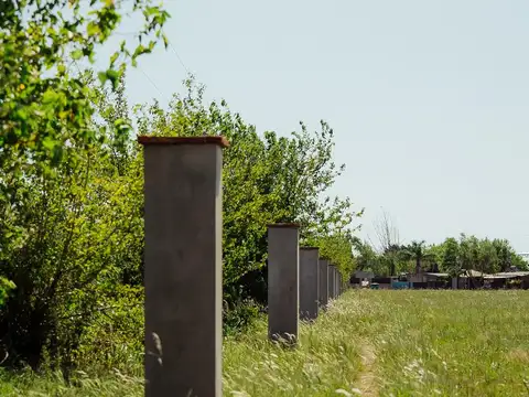 Terreno en Venta 25  mts Fondo