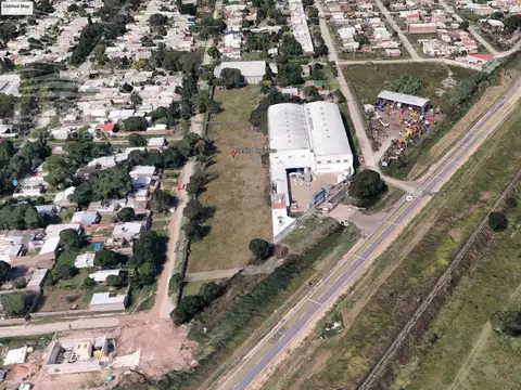Calderon 3409