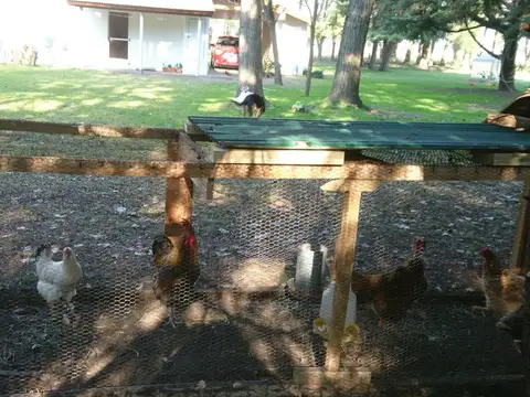 1210-Chacra de 6,5has. con 2 casas y galpón, sobre Ruta 6, Km.125. Frente a Villars