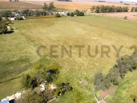 11 HECTÁREAS DE CAMPO PRODUCTIVAS EN COLINAS VERDES ID 28640