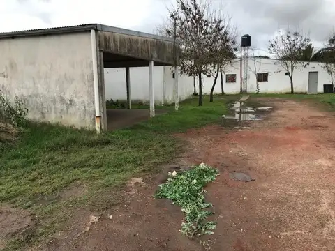 Tratado Del Pilar S/n