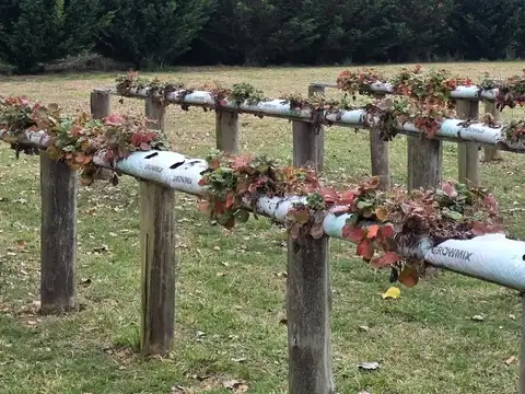 Campo en Venta Granja