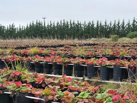Campo en Venta de 5  ha