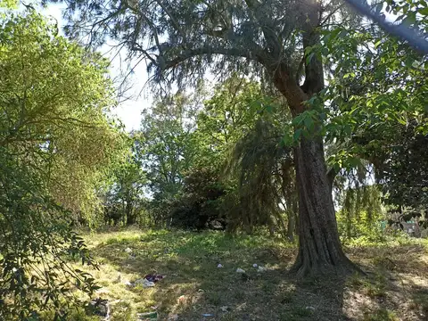 Terreno en Venta de 1600,0 m2