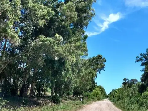 Oportunidad Campo de 33 hectareas, con 800 metros de playa