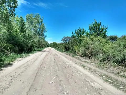 Campo en Venta de 33  ha