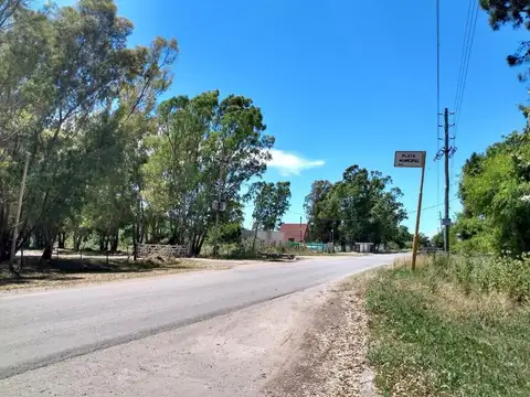 Oportunidad Campo de 33 hectareas, con 800 metros de playa