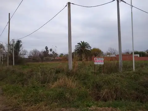MARIN 500