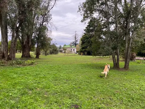 Terreno en Venta 40  mts Frente