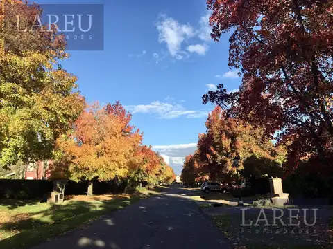 Terreno - La Delfina