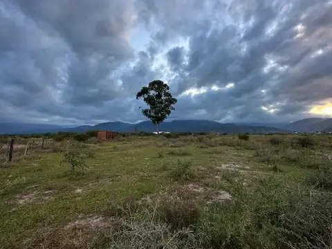 Terreno en Venta, FOT 100