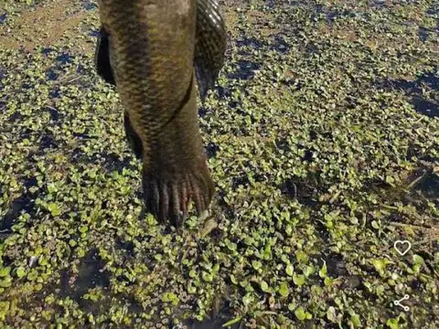 Venta - Lote en Delta del Bucare - Monje