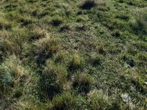 Campo en Venta Mixto