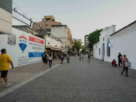 Terreno en Venta en Microcentro, USD 650.000