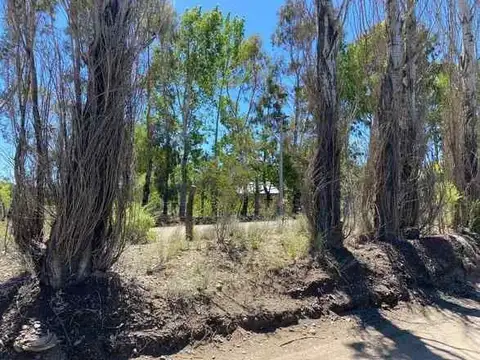 Terreno en Venta de 250,0 m2