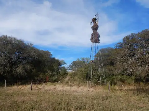 Campo en Venta Ganadero