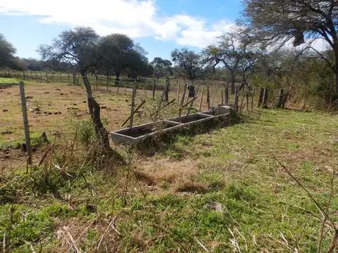 2318 has ganaderas de cría y recría - Aguará Grande - San Cristóbal - Santa Fe