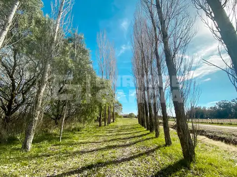 VENTA DE CHACRA DE 3,83 HAS EN BENQUERENCA FARM CLUB