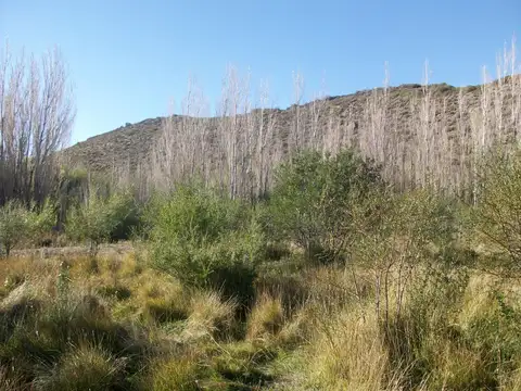 Terreno en Venta de 11169,0 m2