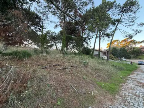 PASEO 122 BIS Y AVENIDA 4