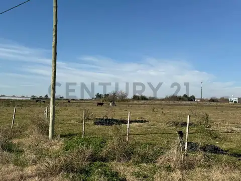 campo de 5 hectáreas y medias