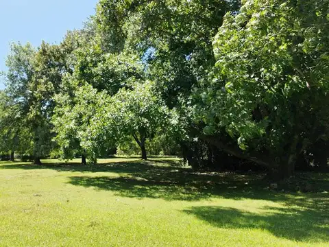 Terreno en Venta 66  mts Fondo